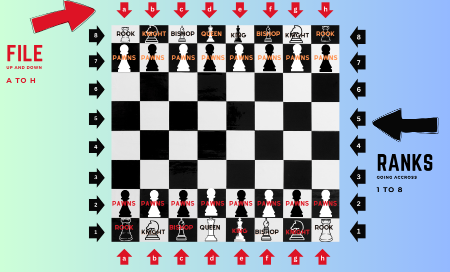 Chess board set up